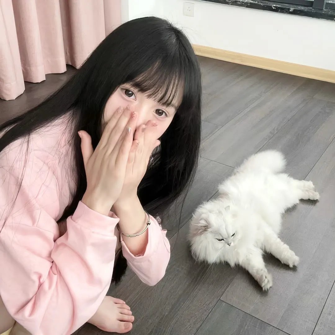 铁笼 海报